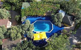 Shiva Camp