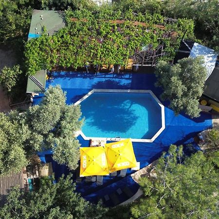 Отель Shiva Camp Фаралия Экстерьер фото